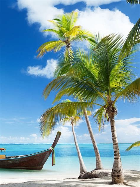 5 Popular Punta Cana Resorts - Santo Domingo travel