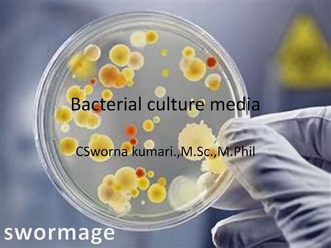 Bacterial Culture media