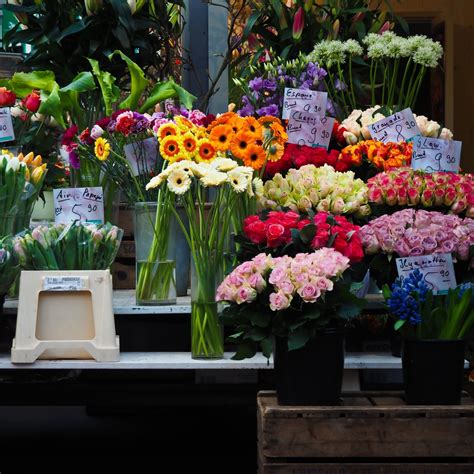 Free Images Color Botany Colorful Flora Wildflower Market Stall