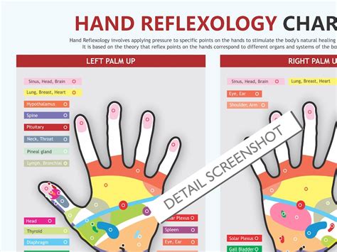 Hand Reflexology Chart Digital Download Pdf Reflexology Chart