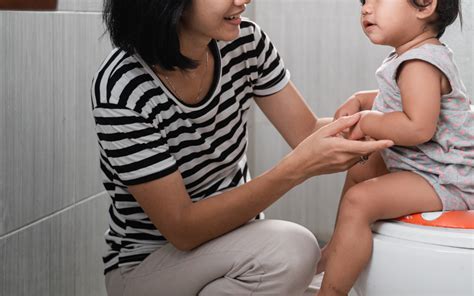 Control De Esfínteres Las Fases Por Las Que Pasan Los Niños Lucila Pistiner