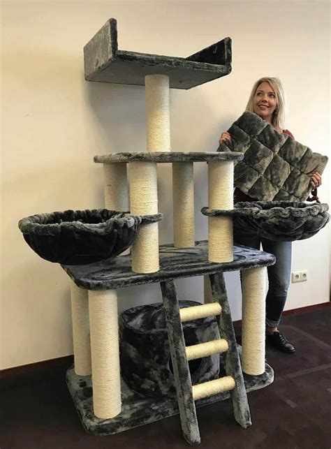 Best Cat Trees For Large Cats 15 Choices For 2021 Raise A Cat