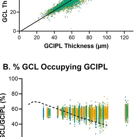 A Linear Regression Model Describing The Relationship Between Gcipl