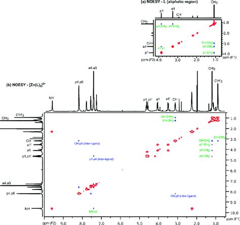 1 H NOESY Spectrum Of L Aliphatic Region A 1 H NOESY Spectrum Of