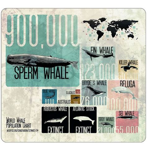 World Whale Population Chart By Neko Ink Via Flickr Whale Chart