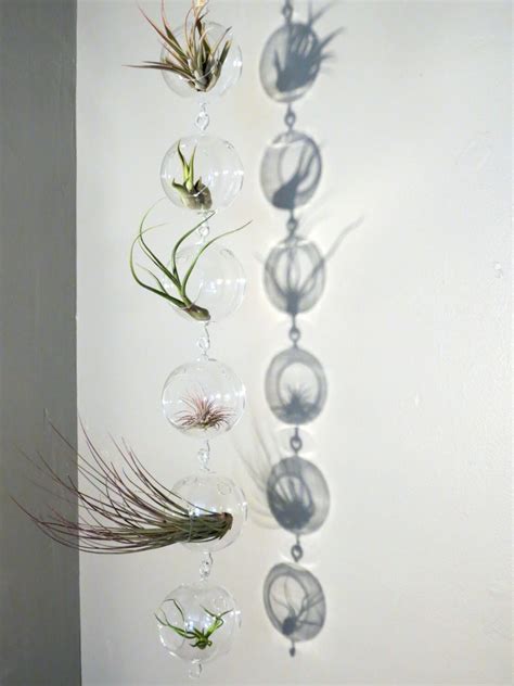 Hanging Air Plant Terrariums Set Of 6 Double Hook Glass