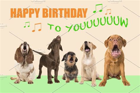 Dogs singing Happy Birthday | High-Quality Animal Stock Photos ...