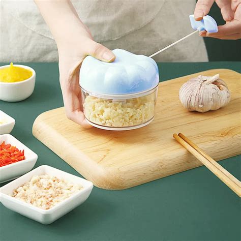 Manual Garlic Chopper Grinder – Stiylo