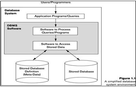 Introduction To Database Management Systems Sakshi Education