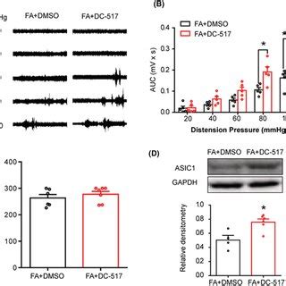 Administration Of Dnmt Inhibitor Dc Reverses Analgesic Effect Of