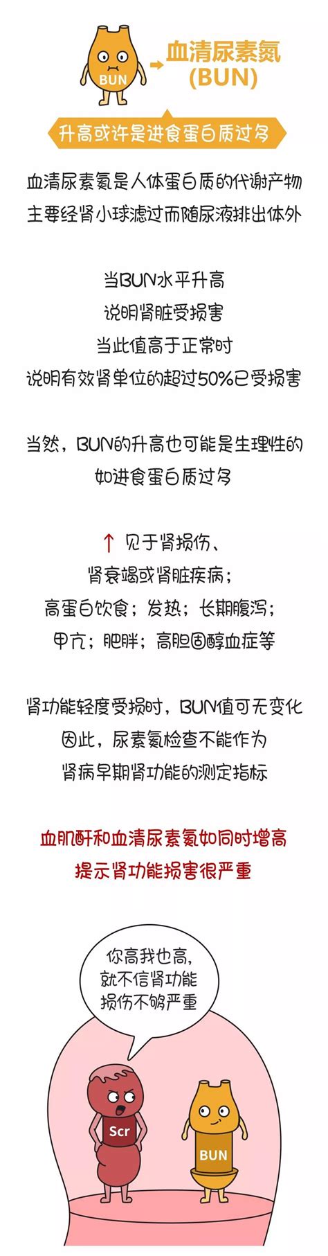 慢性肾脏病 肾功能指标主要看肌酐吗？江西健乐医疗科技有限公司