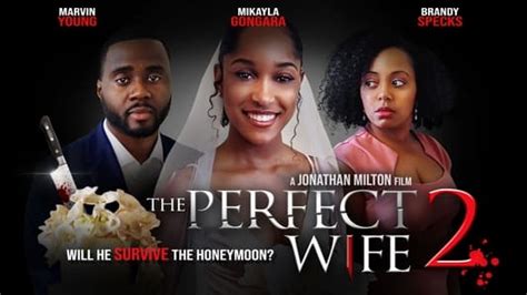 The Perfect Wife 2 2022 — The Movie Database Tmdb