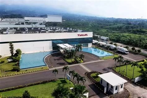 Buruan Lamar Loker Pt Yakult Indonesia Persada Ada Insentif Uang Makan