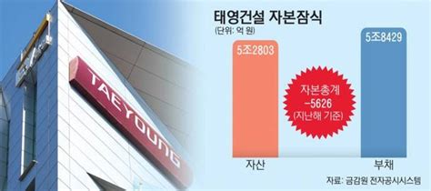 태영건설 소액주주 2만7000명 속탄다주총시즌 제2의 태영건설 주의보 발동 네이트 뉴스