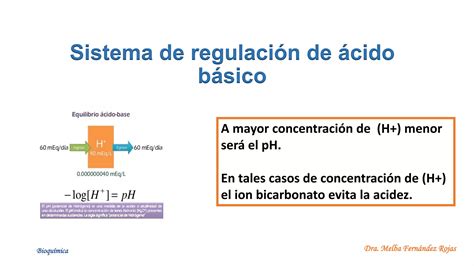 Regulaci N Del Equilibrio Acido Base Pptx