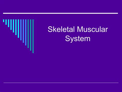 Solution Biology Skeletal System Studypool