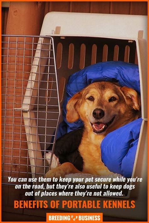 10 Best Portable Dog Kennels – Mobile Crates & Kennels, Tips + FAQ