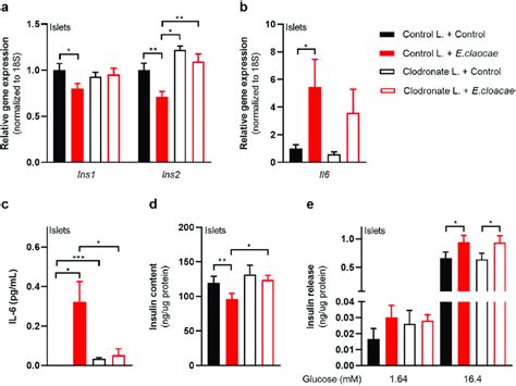 Macrophages Mediate Beta Cell Dysfunction In Pancreatic Islets