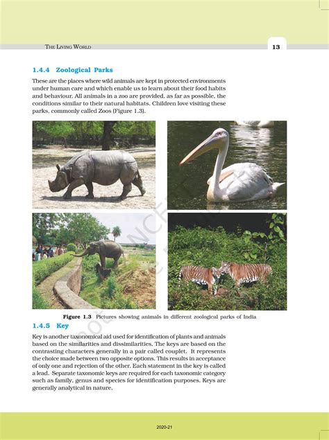 The Living World Ncert Book Of Class 11 Biology