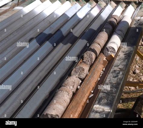 Core Samples From The Well Core Drilling For Sampling Of Geological