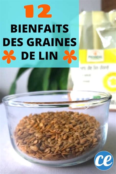 12 Bienfaits Des Graines De Lin Pour la Santé Que Personne Ne Connaît