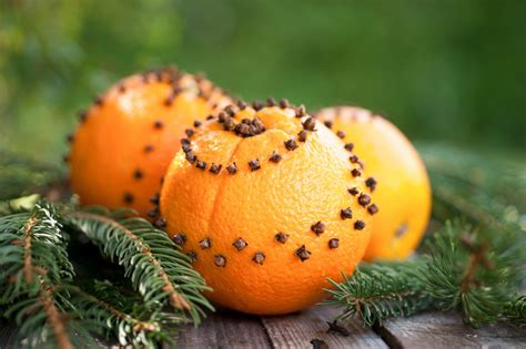 Das Duftet Nach Weihnachten Orangen Mit Nelken Einfaches DIY