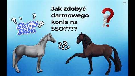 Starstable Jak Dosta Darmowego Konia Wytrenowanego Na Level