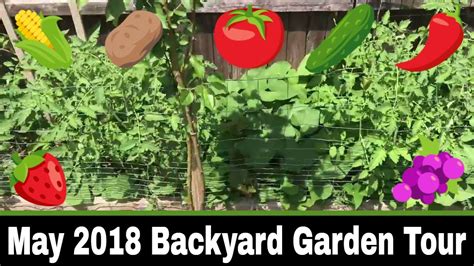 May 2018 Backyard Garden Tour 2 Youtube