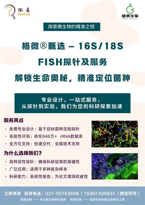 格微®甄选 16s18s Fish探针设计、合成及检测服务 微基生物