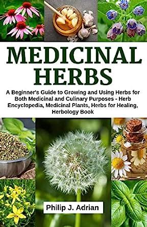 Medicinal Herbs A Beginners Guide To Growing And Using Herbs For Both