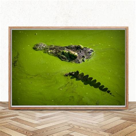 Crocodile Poster Alligator Photo Animal Wall Art Wild Etsy