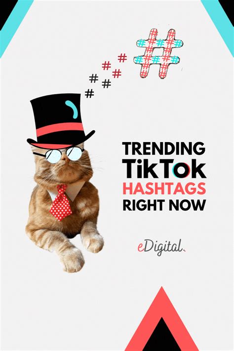 Best Hashtags For Tiktok Now At Jacob Woodruff Blog