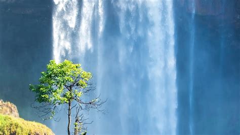 Nature Sounds Waterfall Sounds Waterfall Sounds Birds Singing Youtube