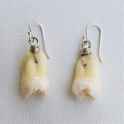 Real Human Teeth Earrings With Sterling Sterling Silver or Gold Filled ...