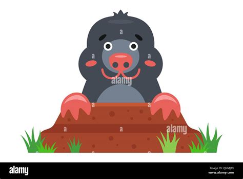 A Mole Peeks Out Of A Hole In The Garden Flat Vector Illustration