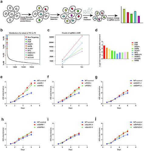 Genome Wide Crispr Cas Screen Identifies Genes Essential For