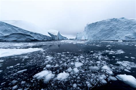 Scientists make disturbing discovery within remote waters of Arctic ...