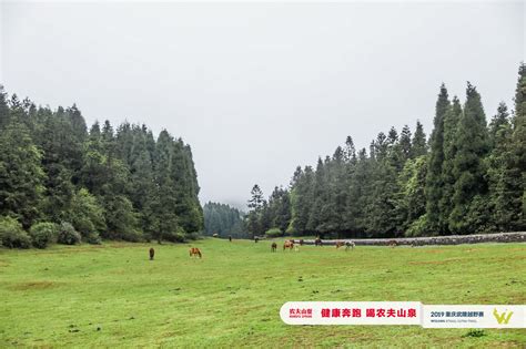 为什么那么多人越来越喜欢越野跑；当你跑过高山之颠，穿越密林之间密林高山越野新浪新闻