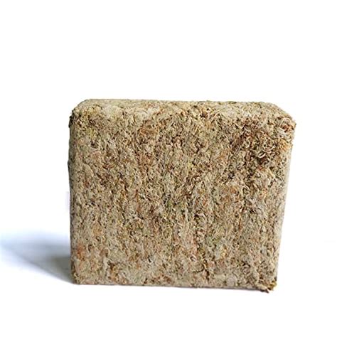 Shinamy Quart Premium Natural Long Fiber Sphagnum Moss For Orchid