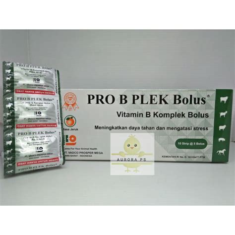 Jual Pro B Plek Bolus Vitamin B Komplek Rasa Jeruk Untuk Hewan