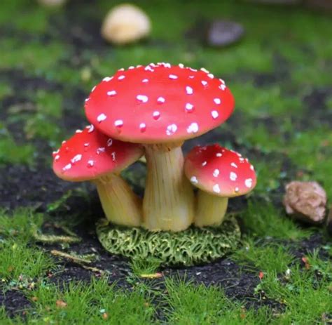 Aquarium Decoratie Paddestoelen En Slakjes Stuks Shrimpmania