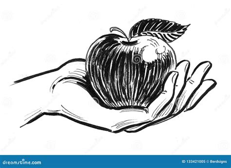 Hand and apple stock illustration. Illustration of artwork - 133421005