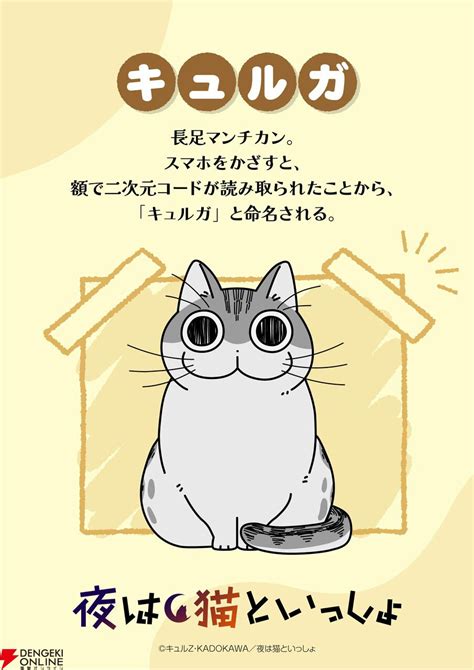 アニメ『夜は猫といっしょ』3期が12月より配信開始。新たに三毛猫・チクワと黒猫・コンブが登場 電撃オンライン