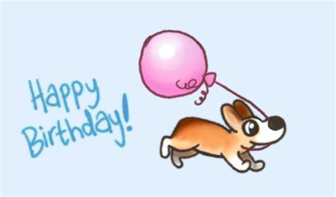 pembroke welsh corgi happy birthday gif | WiffleGif