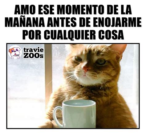 No dura mucho así que no me des motivos Facebook Humor Cats Animals