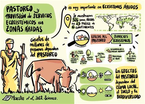 El Negativo Impacto Sobre El Medio Ambiente Del Aumento Del Pastoreo