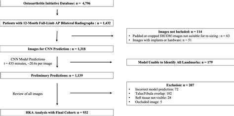 Comparison Of Tibial Alignment Parameters Based On Clinically Relevant