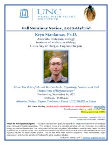 MHI Seminar Series Kryn Stankunas Ph D How The Zebrafish Got Its