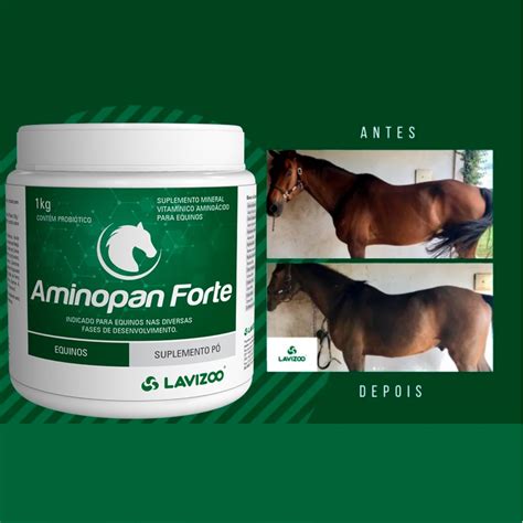 Aminopan Forte 1kg Suplemento Ganho De Massa Muscular Cavalo Shopee