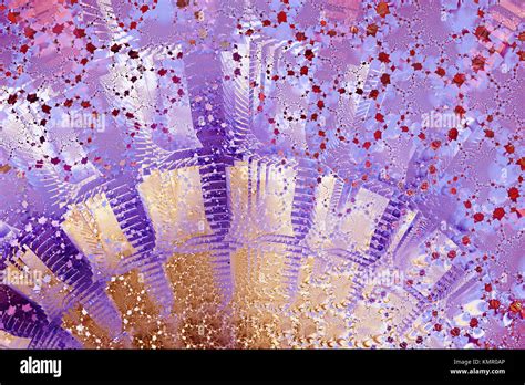 fan shaped stock  fan shaped stock images alamy